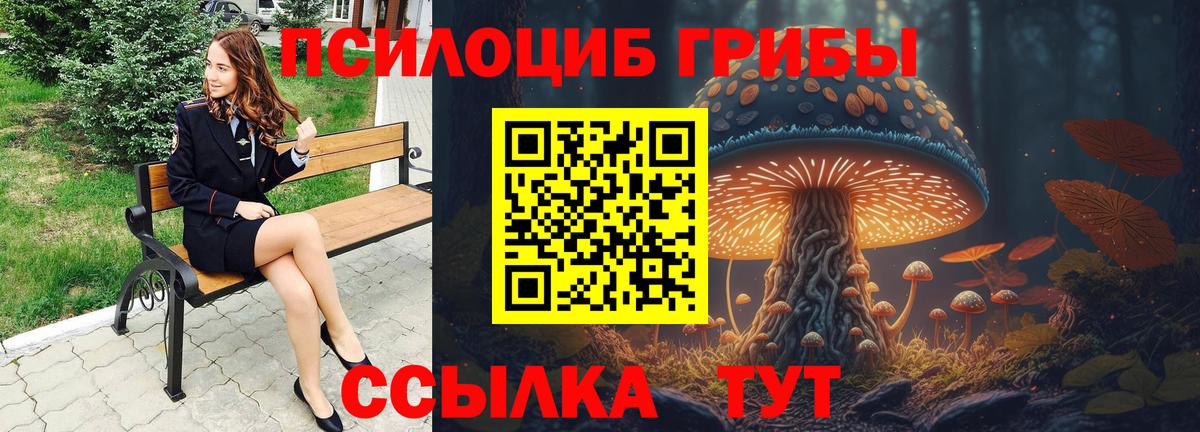 Галлюциногенные грибы мицелий Ростов-на-Дону